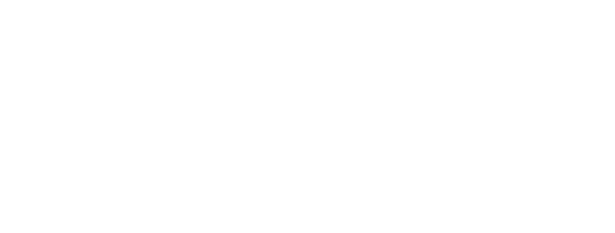 Logo Villa blanc